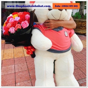Gấu Bông Teddy Hàn Quốc - GAU32